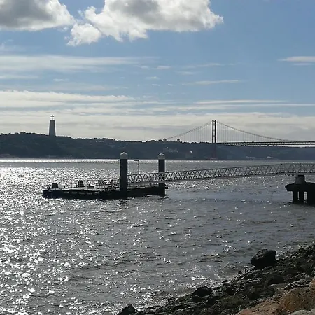 Pombalino! Concept *