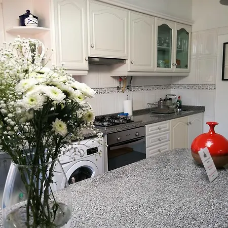 Pombalino! Concept *