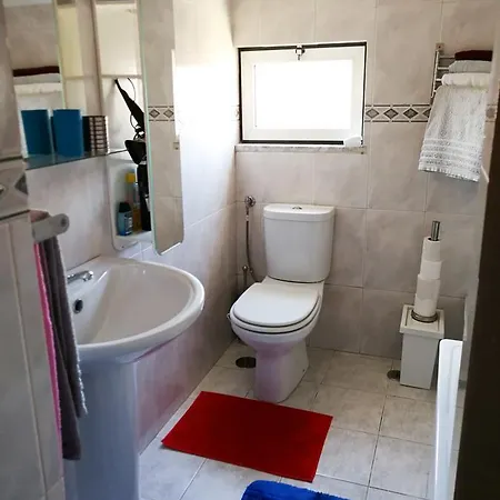 Pombalino! Concept *